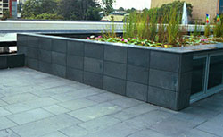 Bluestone pavers